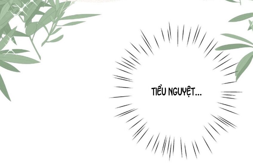 Em là bạc hà mèo của tôi: Chapter 39