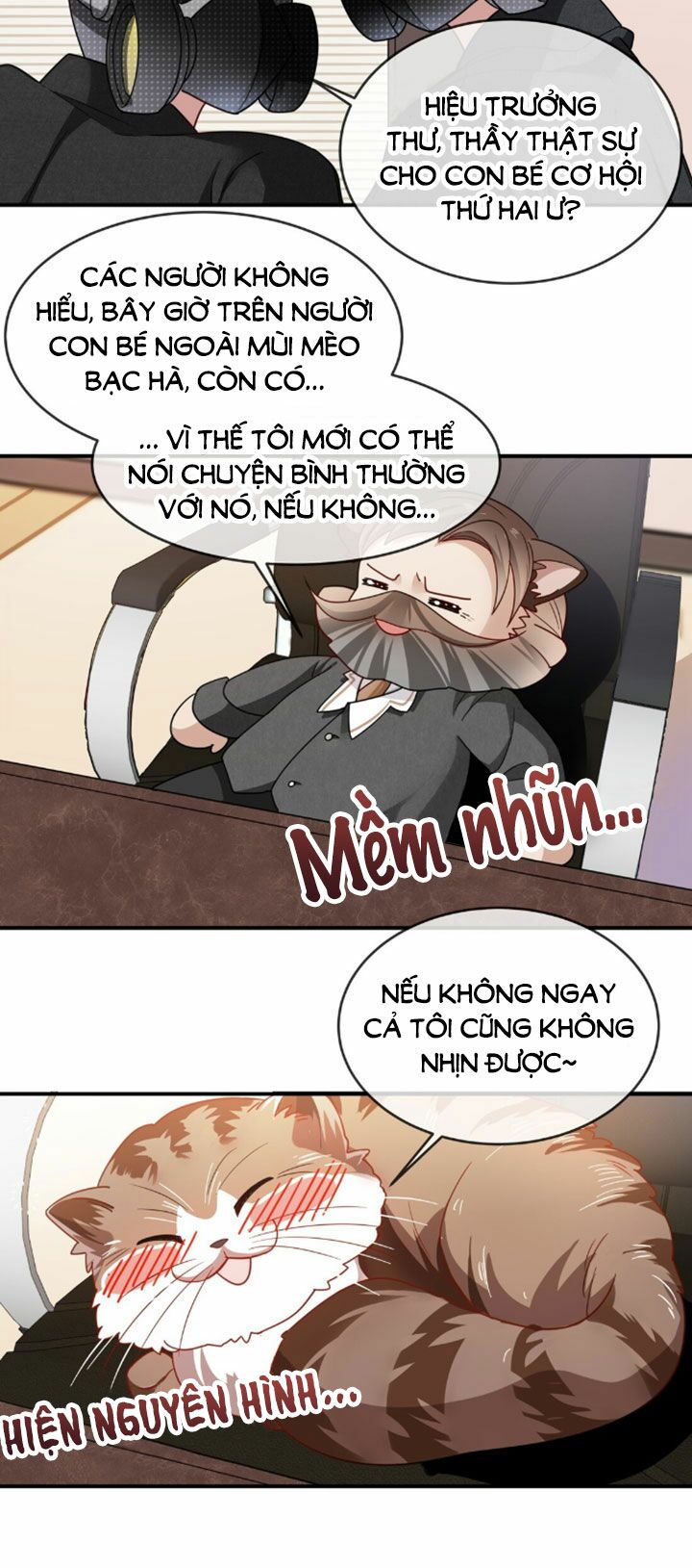 Em là bạc hà mèo của tôi: Chapter 4