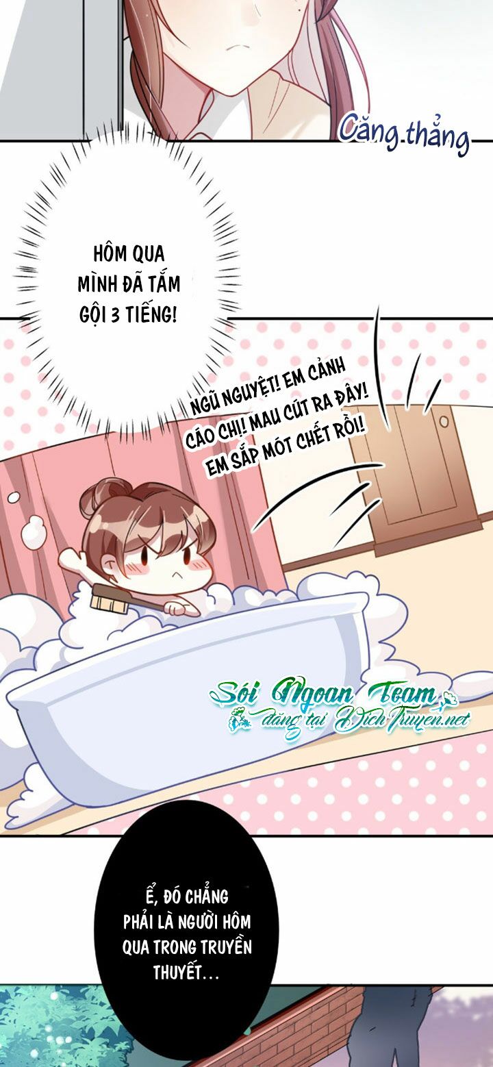 Em là bạc hà mèo của tôi: Chapter 4