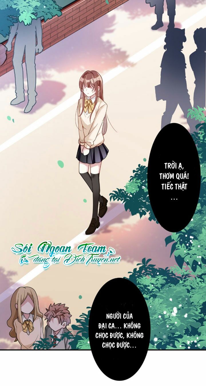 Em là bạc hà mèo của tôi: Chapter 4