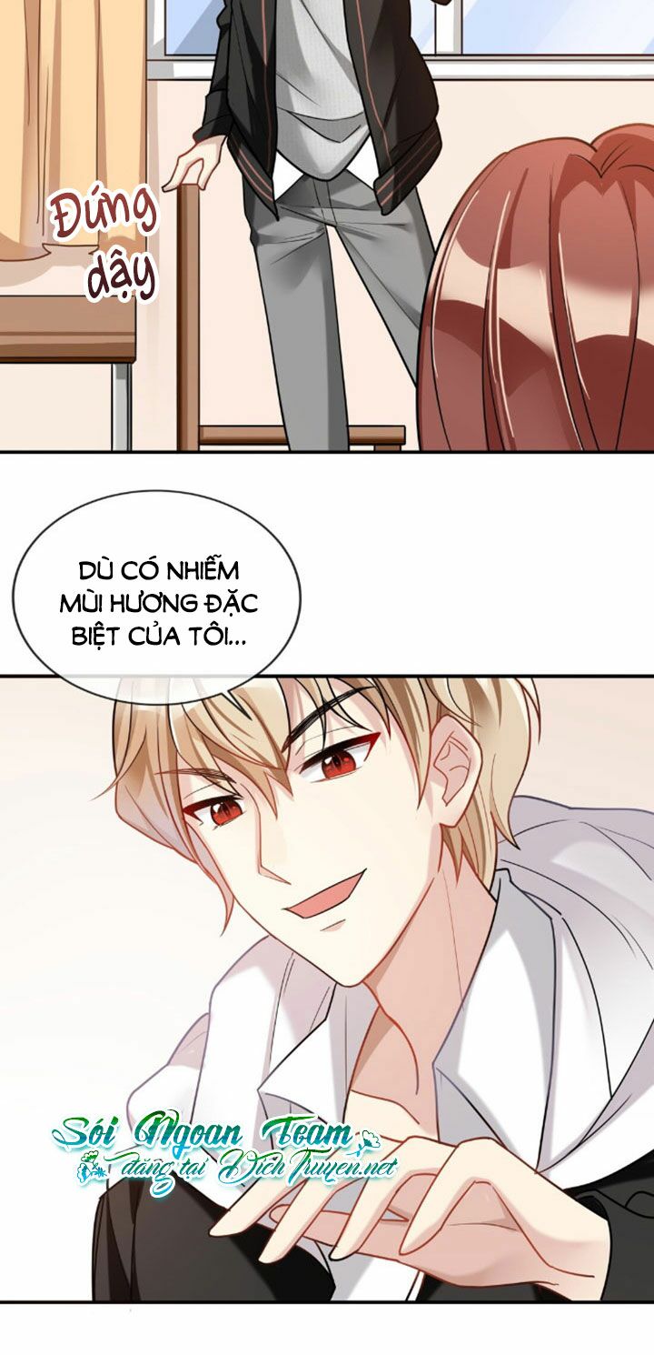 Em là bạc hà mèo của tôi: Chapter 4