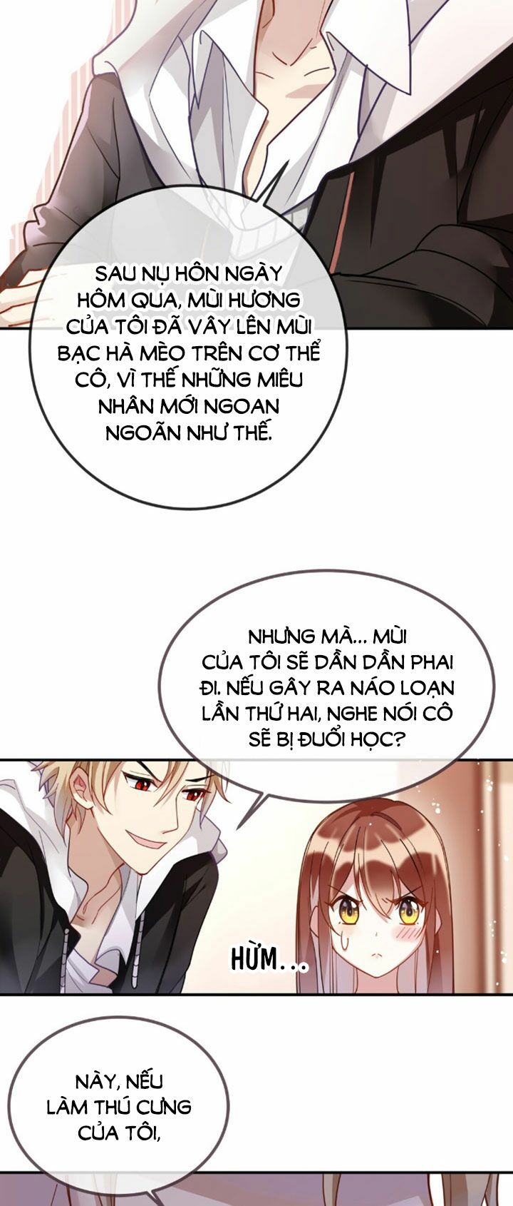 Em là bạc hà mèo của tôi: Chapter 4