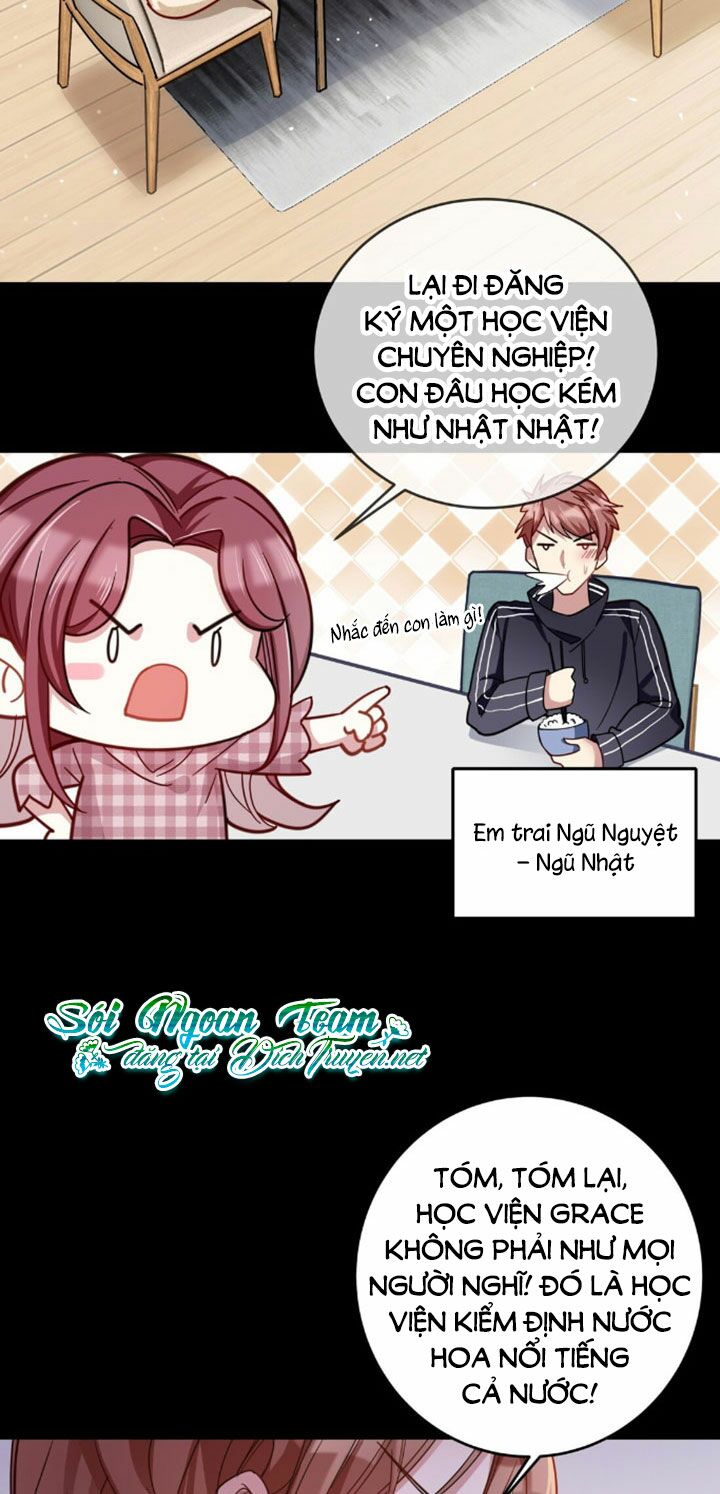 Em là bạc hà mèo của tôi: Chapter 4