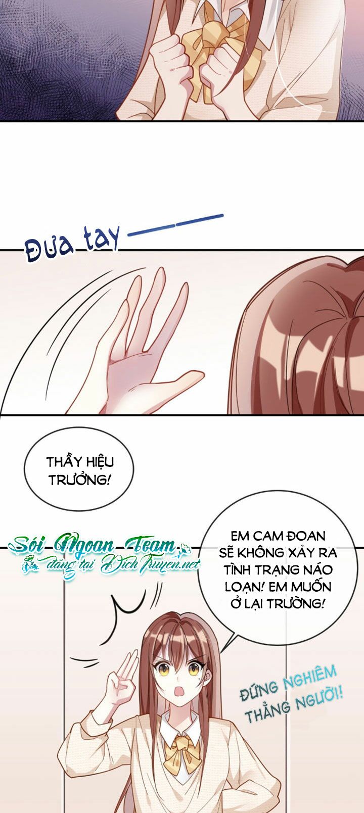 Em là bạc hà mèo của tôi: Chapter 4