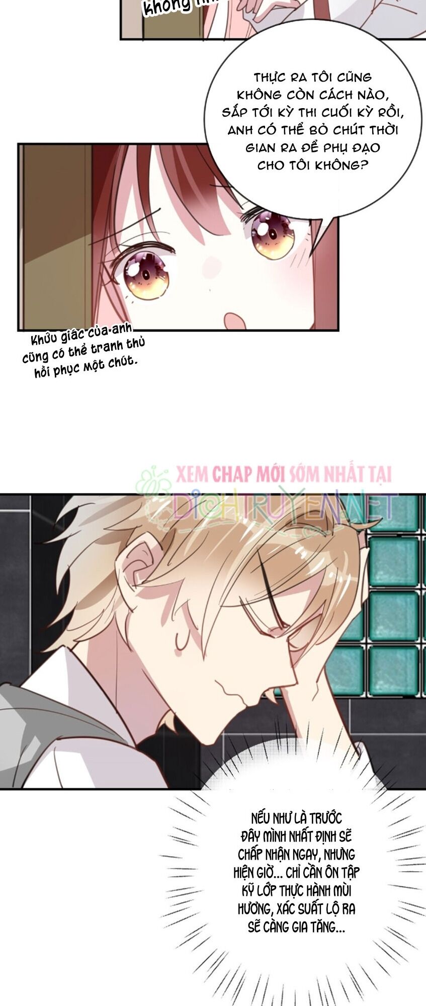 Em là bạc hà mèo của tôi: Chapter 41