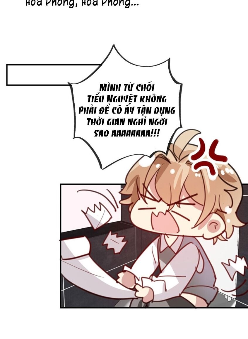 Em là bạc hà mèo của tôi: Chapter 41
