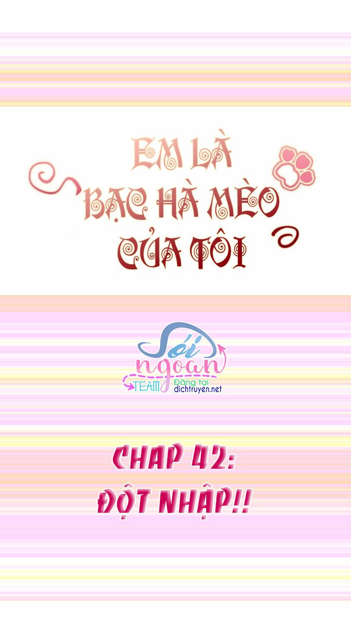 Em là bạc hà mèo của tôi: Chapter 42