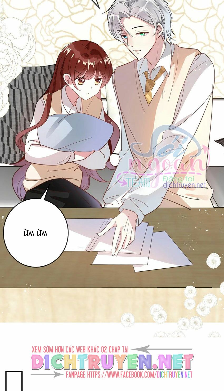 Em là bạc hà mèo của tôi: Chapter 42