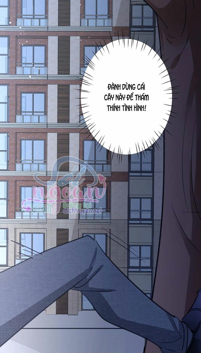 Em là bạc hà mèo của tôi: Chapter 42