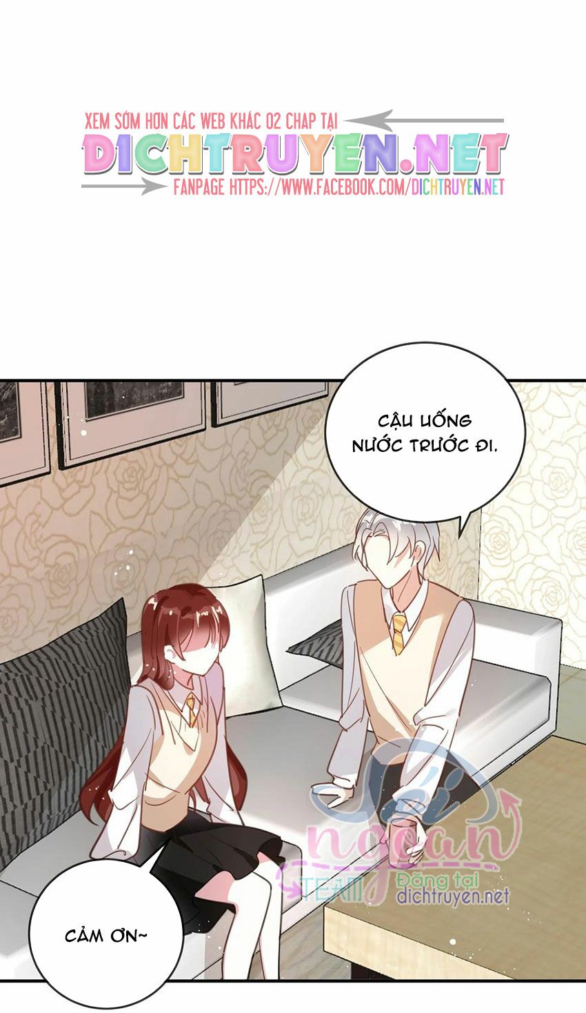 Em là bạc hà mèo của tôi: Chapter 42