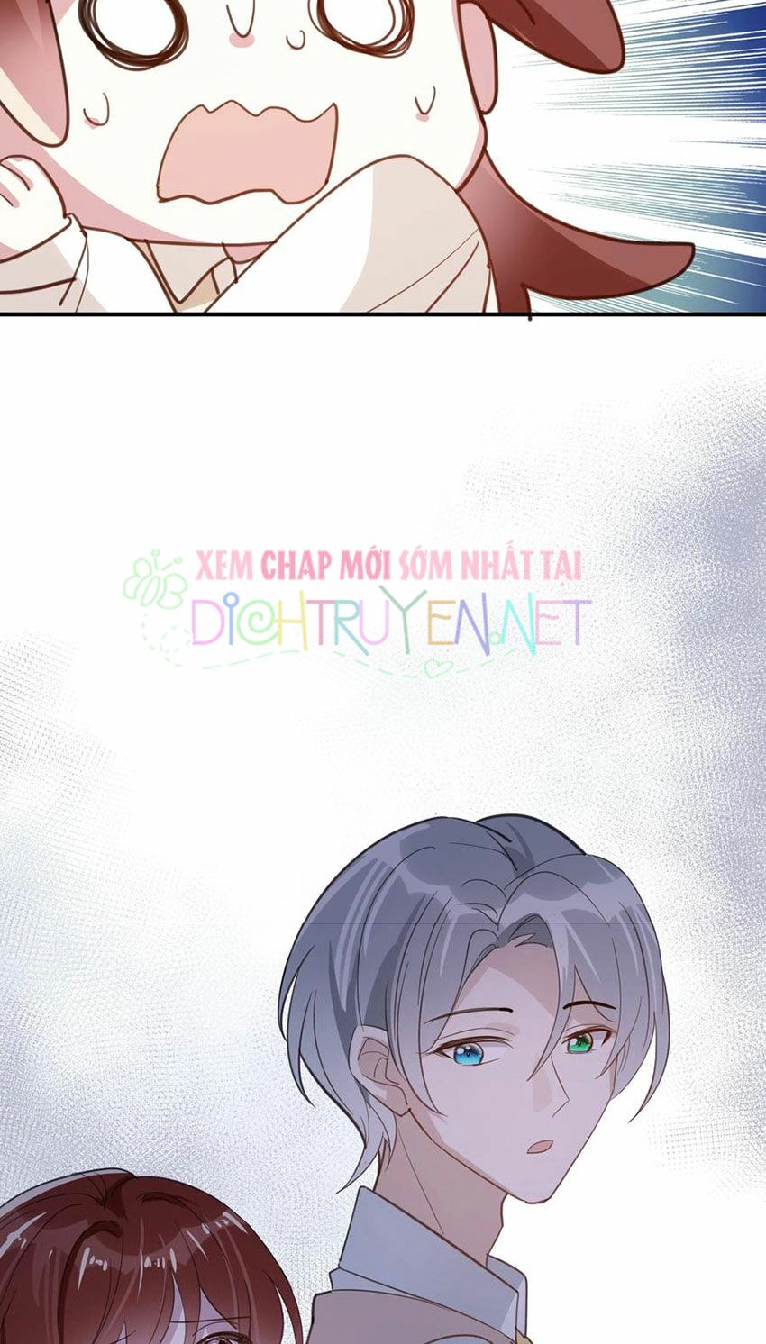 Em là bạc hà mèo của tôi: Chapter 43