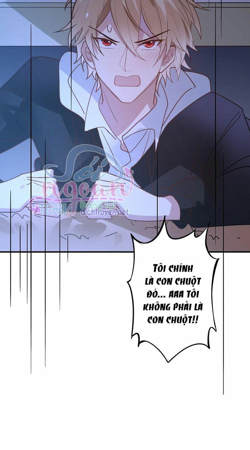 Em là bạc hà mèo của tôi: Chapter 43