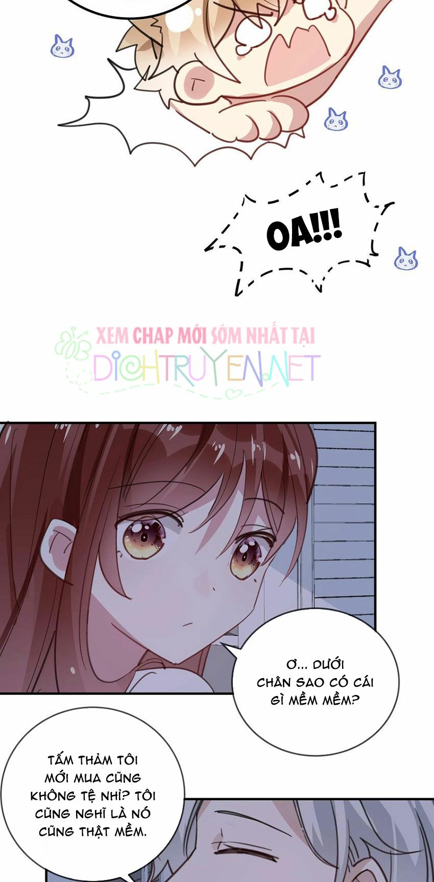 Em là bạc hà mèo của tôi: Chapter 43