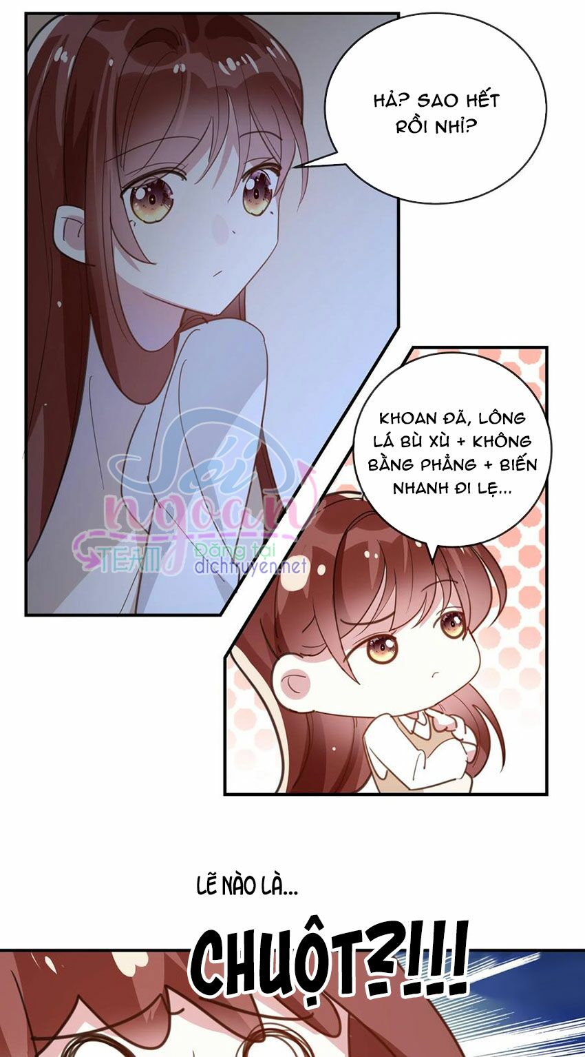 Em là bạc hà mèo của tôi: Chapter 43