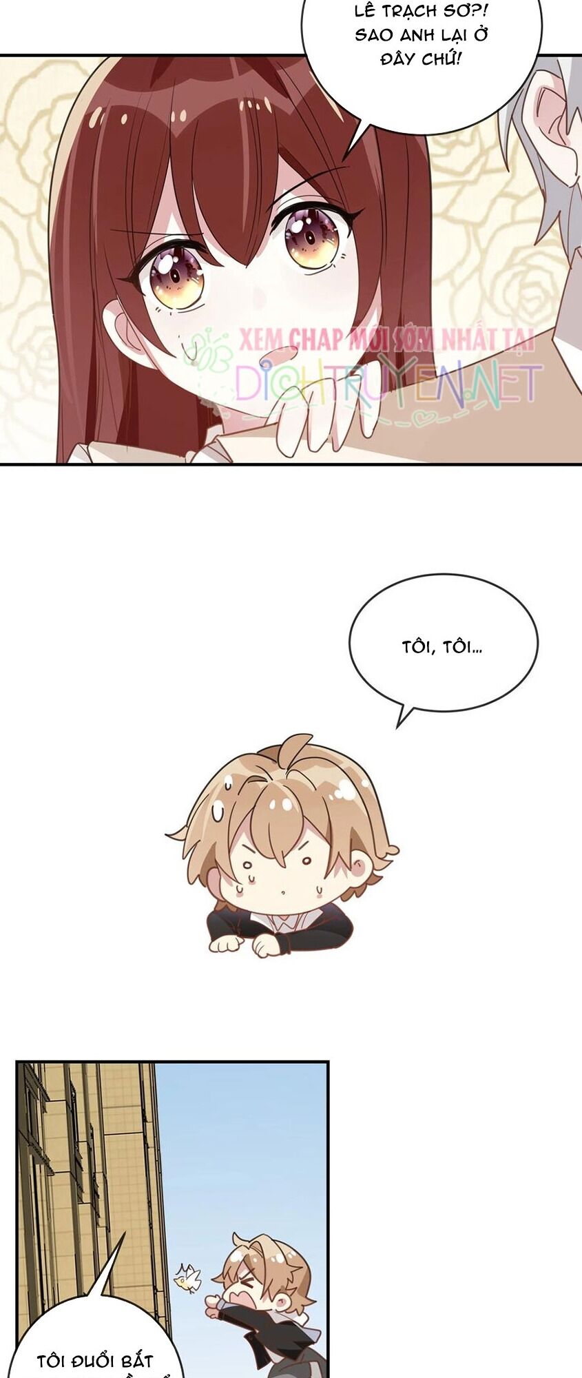 Em là bạc hà mèo của tôi: Chapter 44