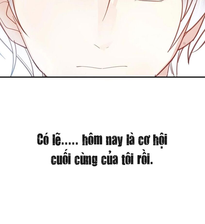 Em là bạc hà mèo của tôi: Chapter 45