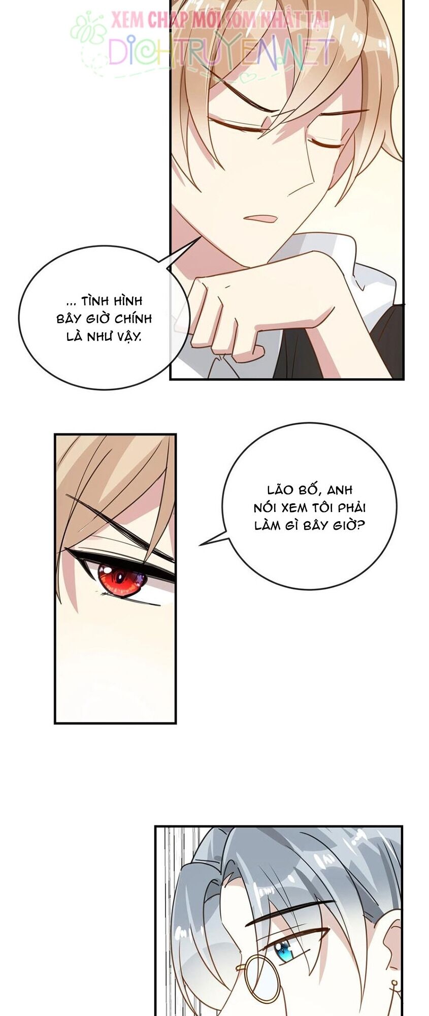 Em là bạc hà mèo của tôi: Chapter 45
