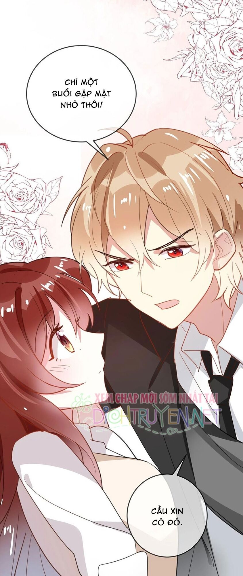 Em là bạc hà mèo của tôi: Chapter 45