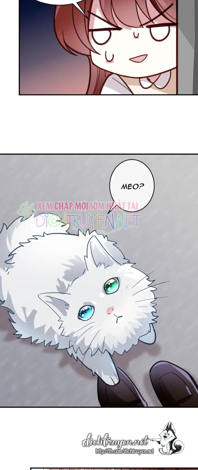 Em là bạc hà mèo của tôi: Chapter 46