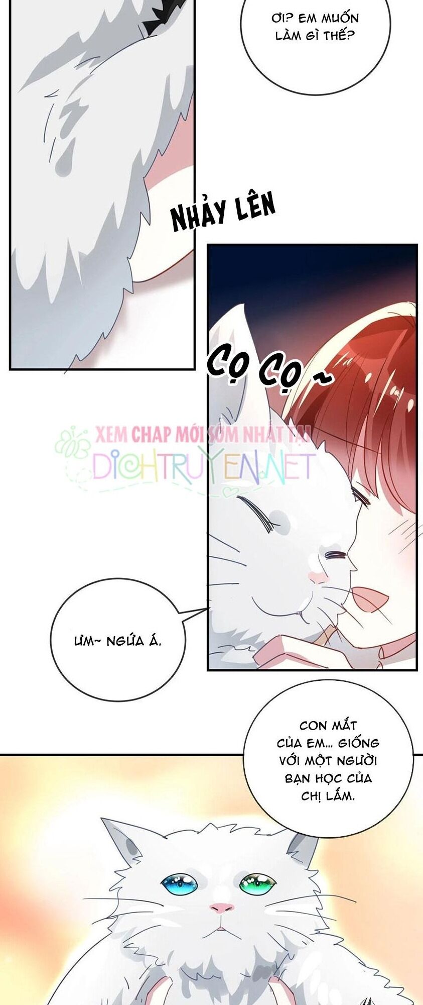 Em là bạc hà mèo của tôi: Chapter 46