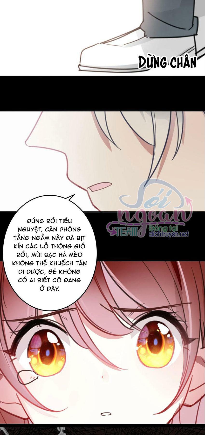 Em là bạc hà mèo của tôi: Chapter 47