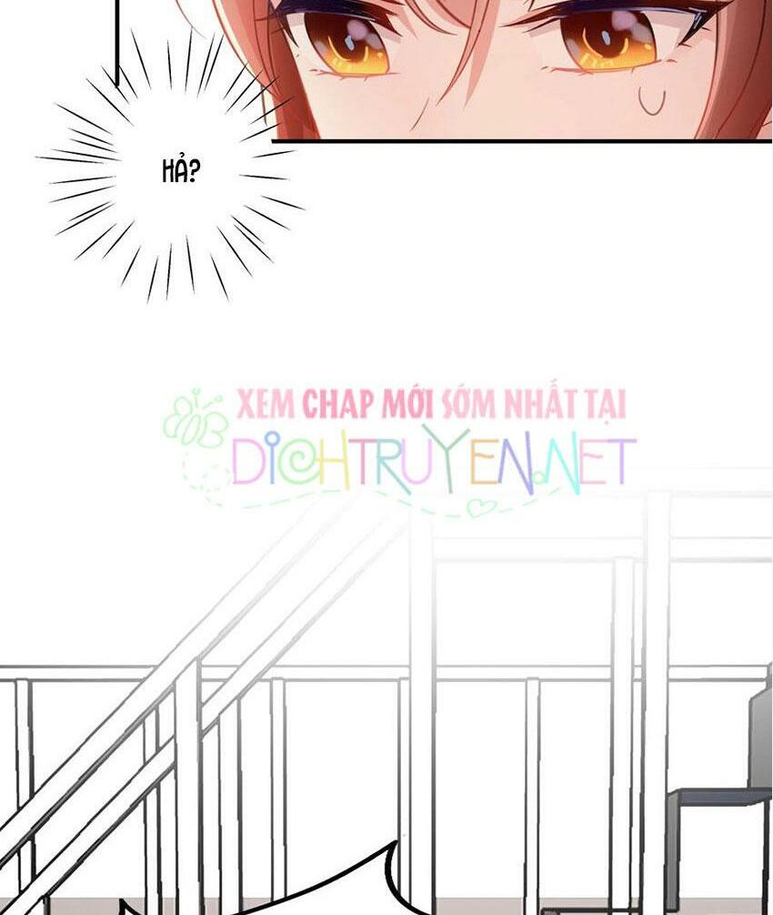 Em là bạc hà mèo của tôi: Chapter 47