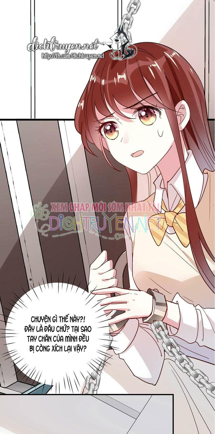 Em là bạc hà mèo của tôi: Chapter 47