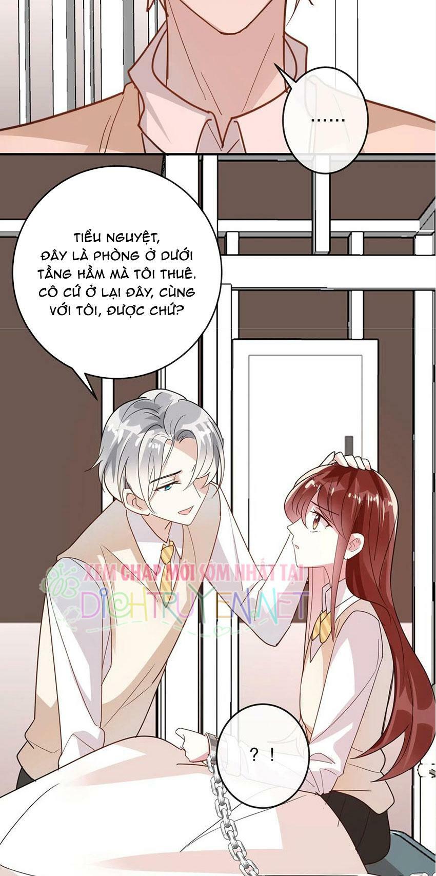 Em là bạc hà mèo của tôi: Chapter 47