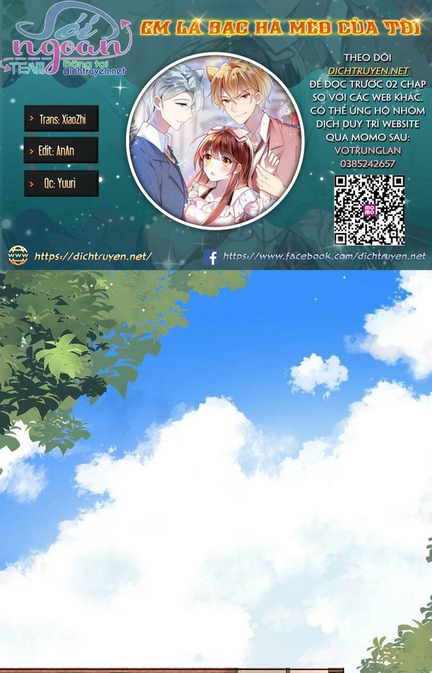 Em là bạc hà mèo của tôi: Chapter 48