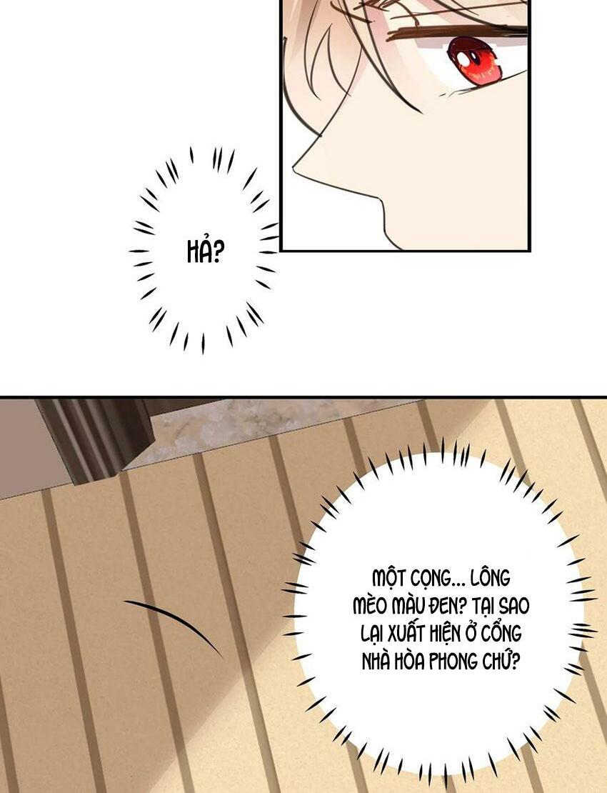 Em là bạc hà mèo của tôi: Chapter 48