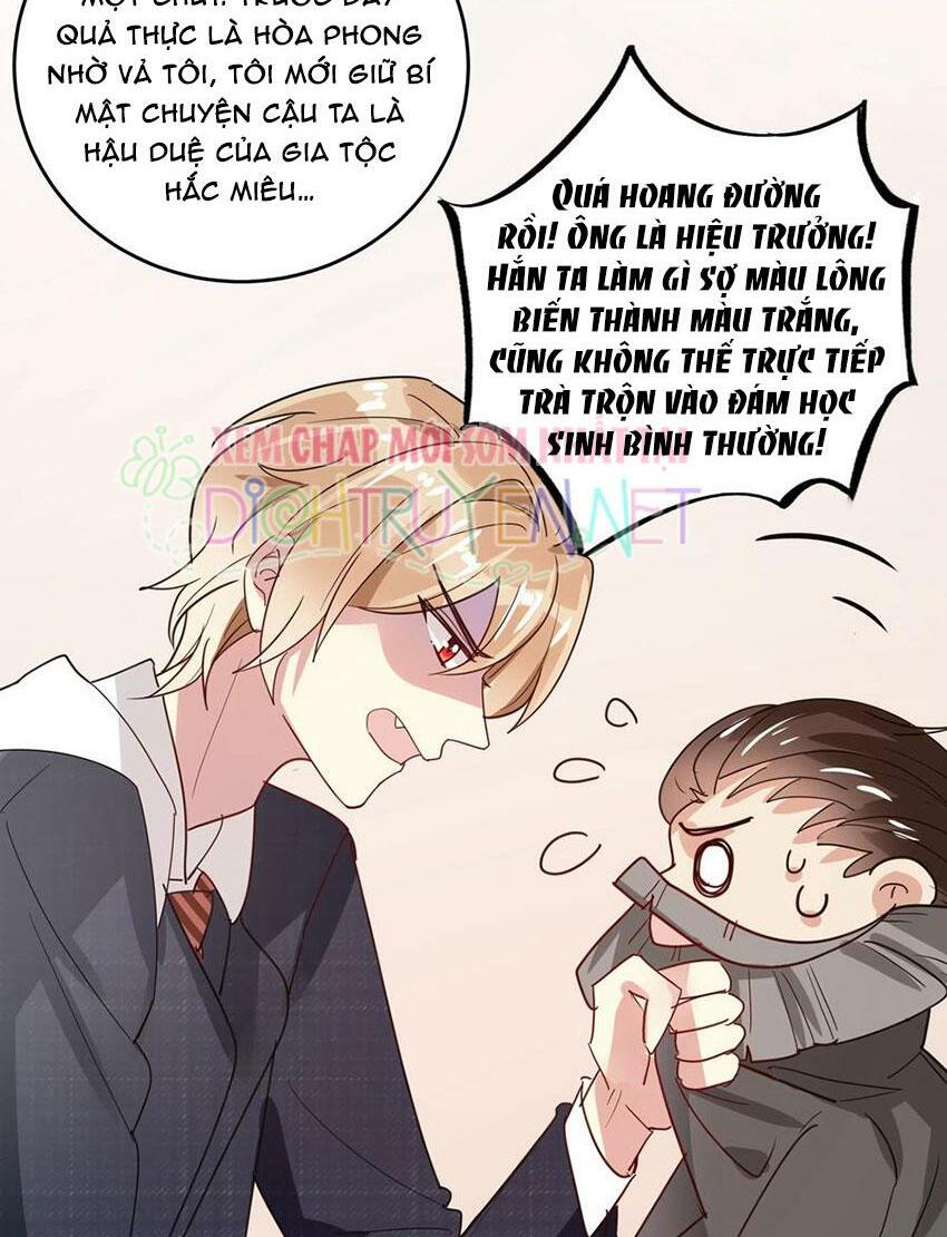 Em là bạc hà mèo của tôi: Chapter 48