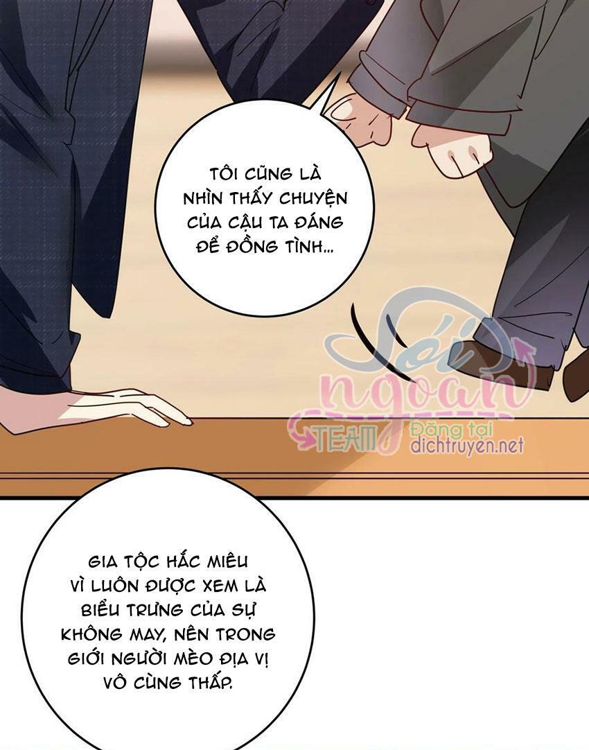 Em là bạc hà mèo của tôi: Chapter 48