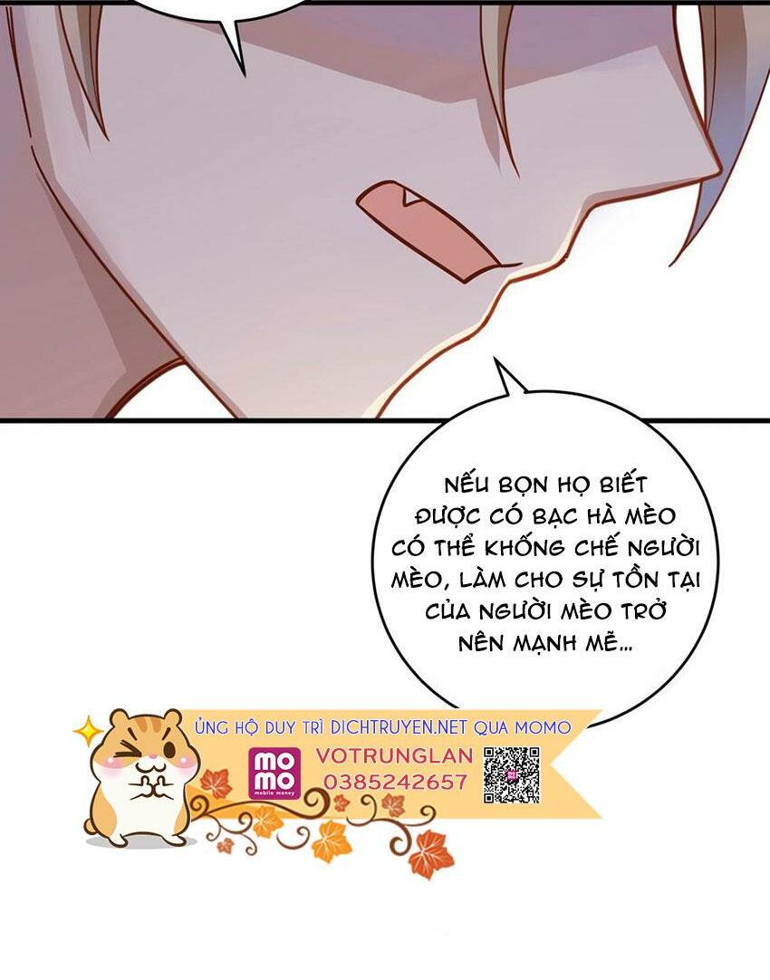 Em là bạc hà mèo của tôi: Chapter 48