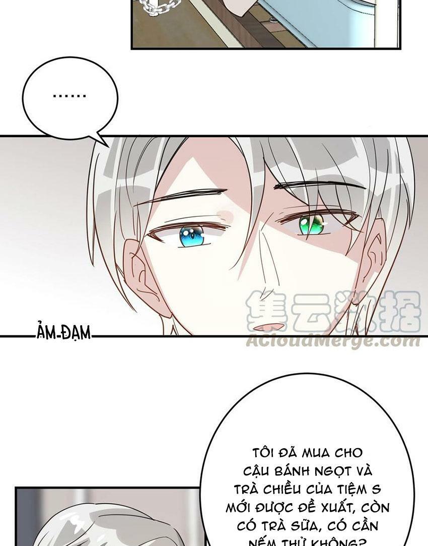 Em là bạc hà mèo của tôi: Chapter 48