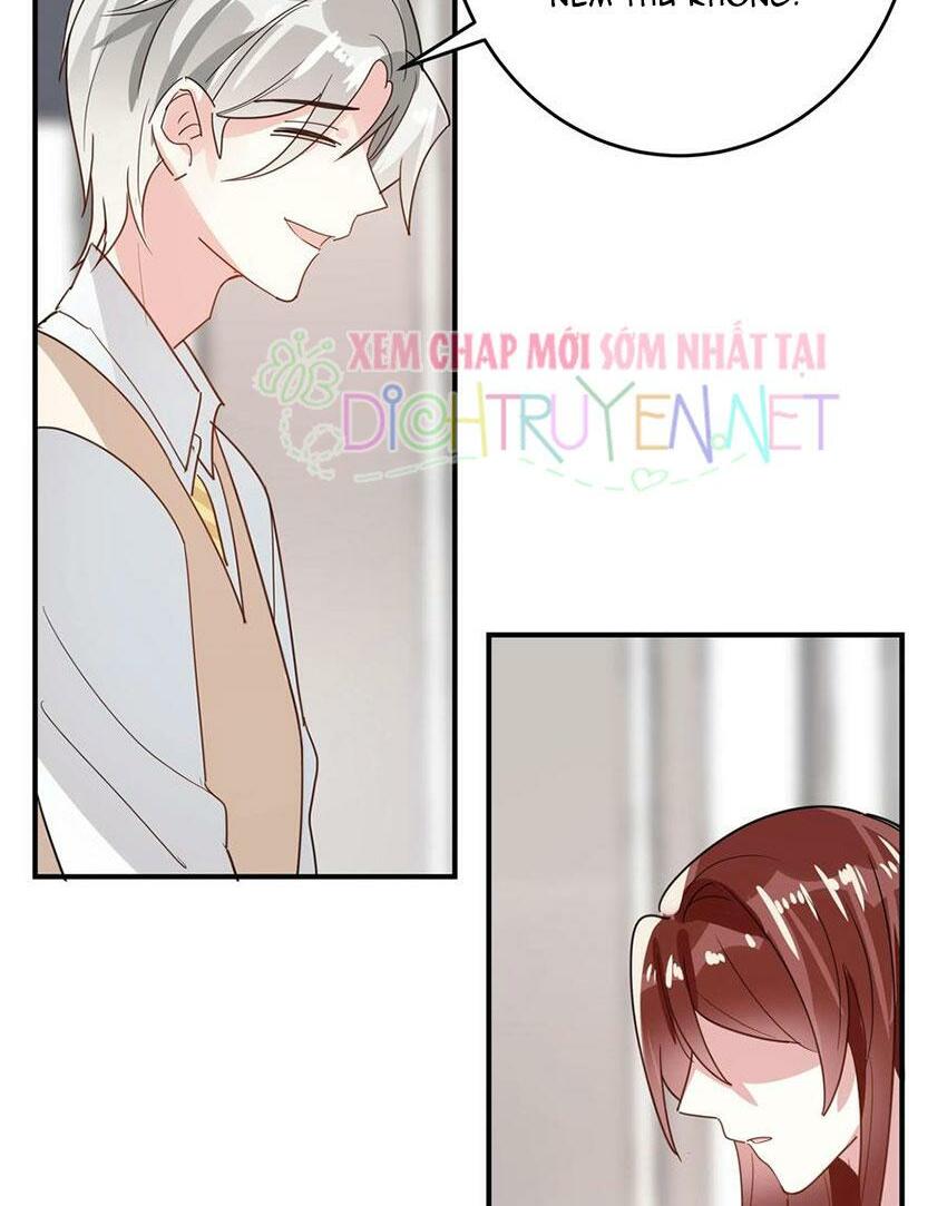 Em là bạc hà mèo của tôi: Chapter 48
