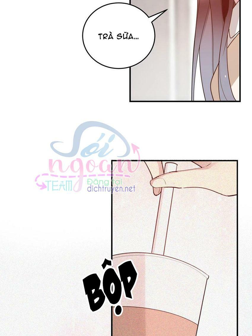 Em là bạc hà mèo của tôi: Chapter 48