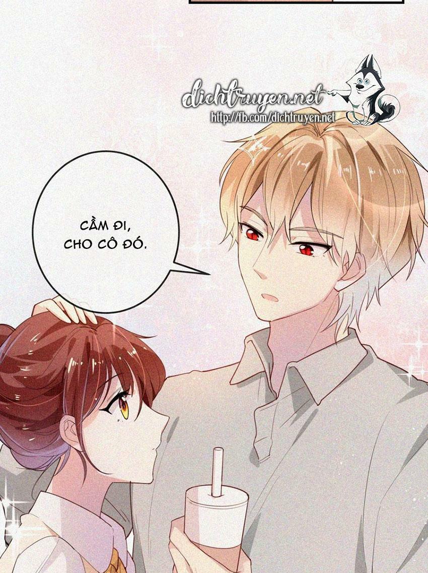 Em là bạc hà mèo của tôi: Chapter 48