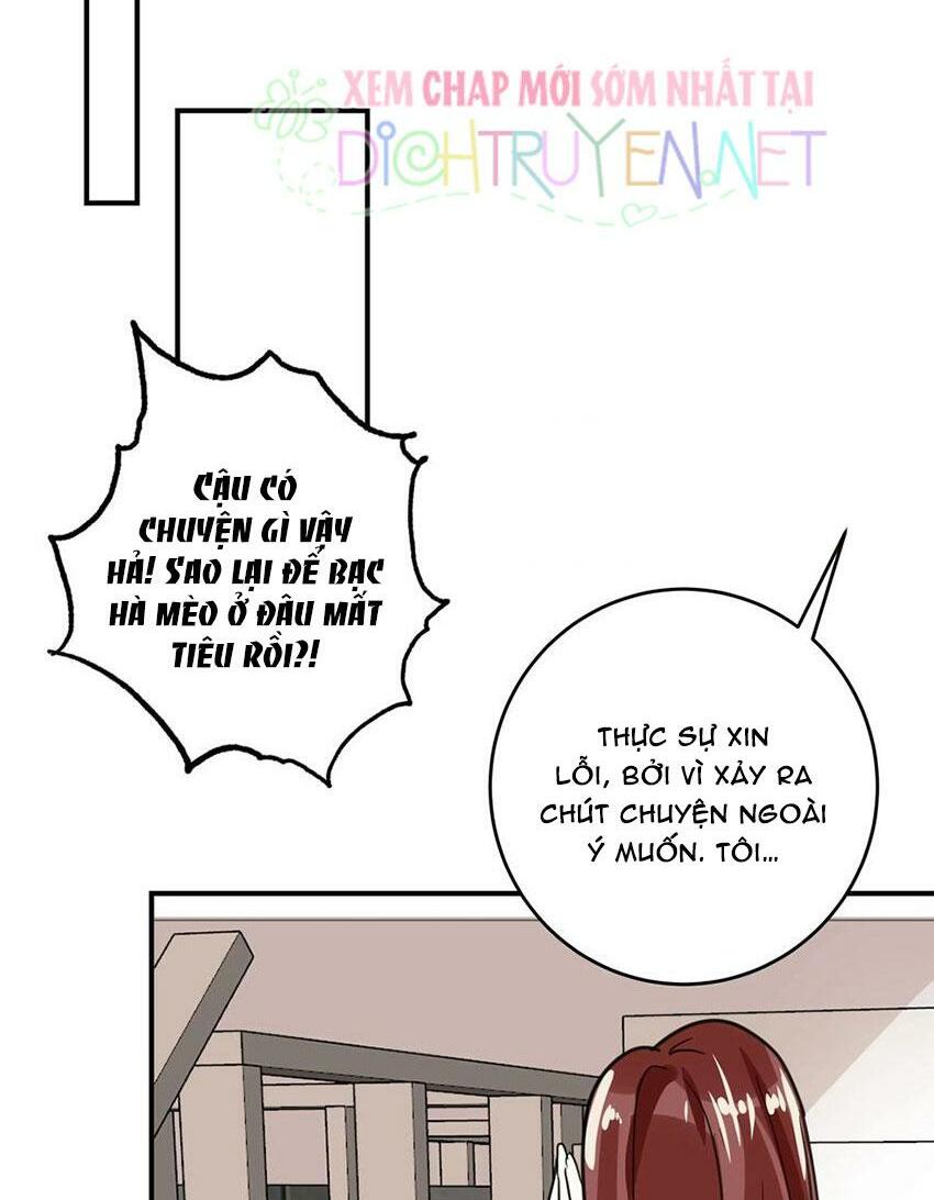 Em là bạc hà mèo của tôi: Chapter 48