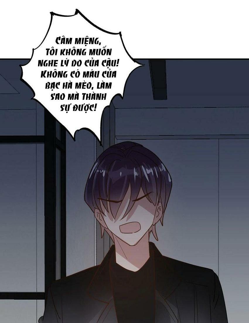 Em là bạc hà mèo của tôi: Chapter 48