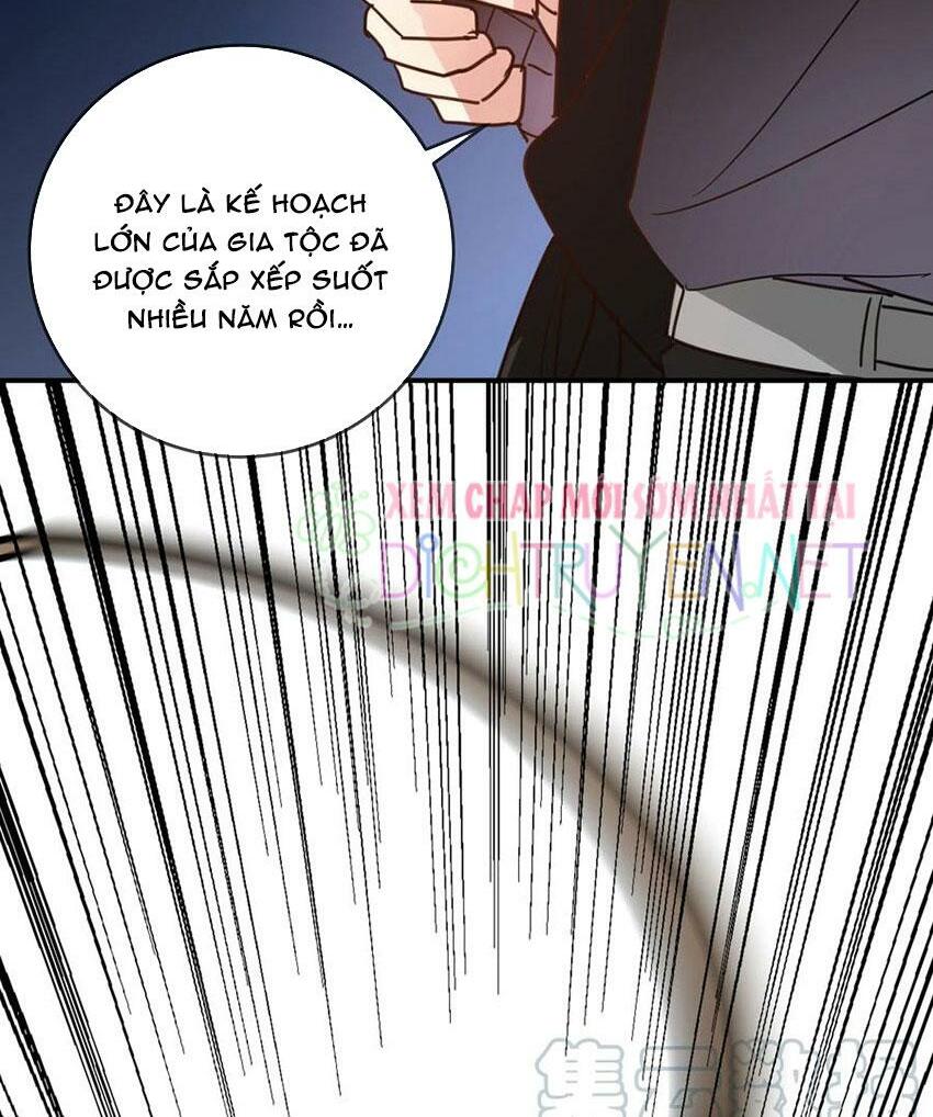 Em là bạc hà mèo của tôi: Chapter 48