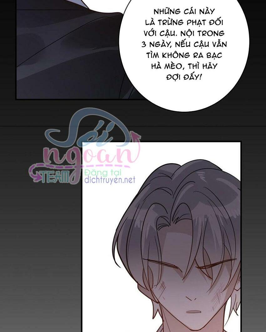 Em là bạc hà mèo của tôi: Chapter 48