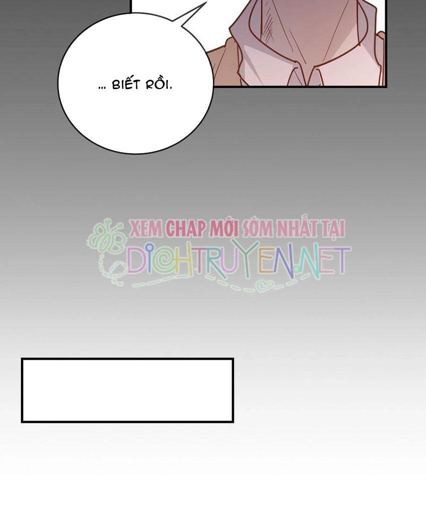Em là bạc hà mèo của tôi: Chapter 48