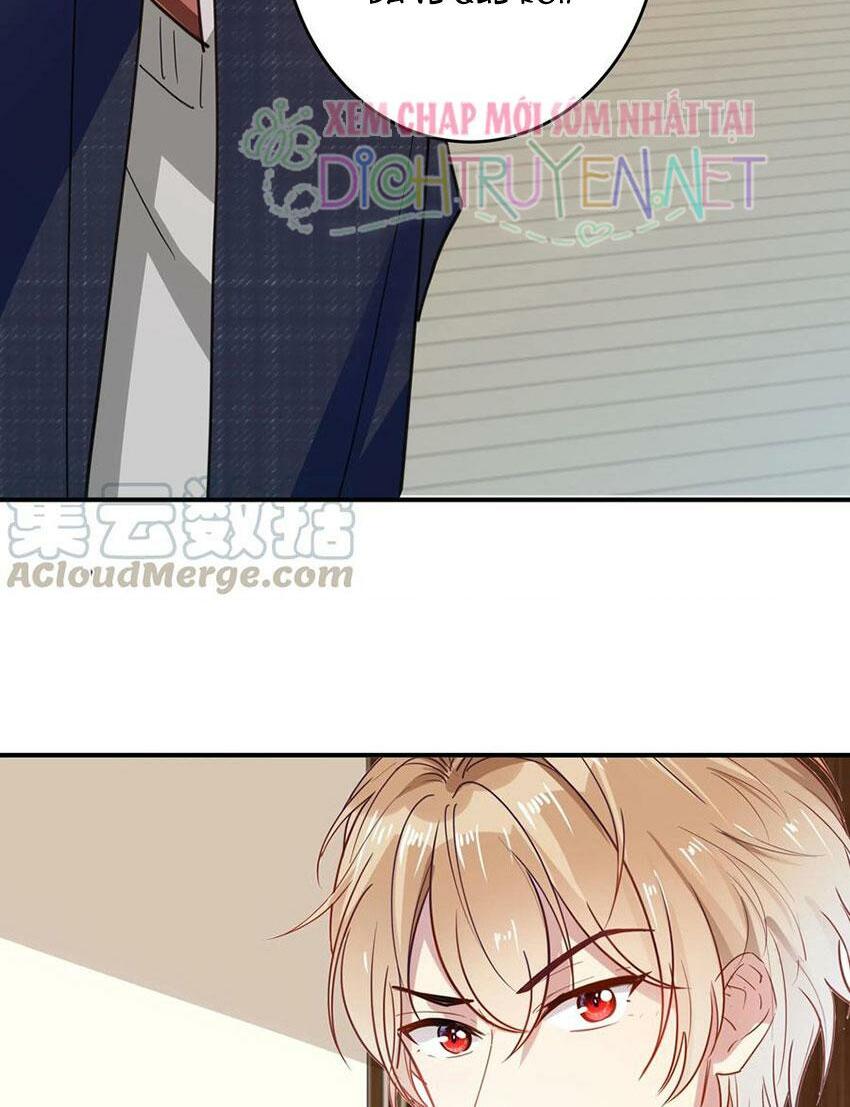Em là bạc hà mèo của tôi: Chapter 48