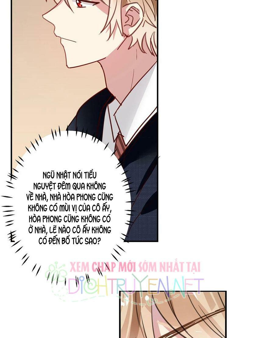 Em là bạc hà mèo của tôi: Chapter 48