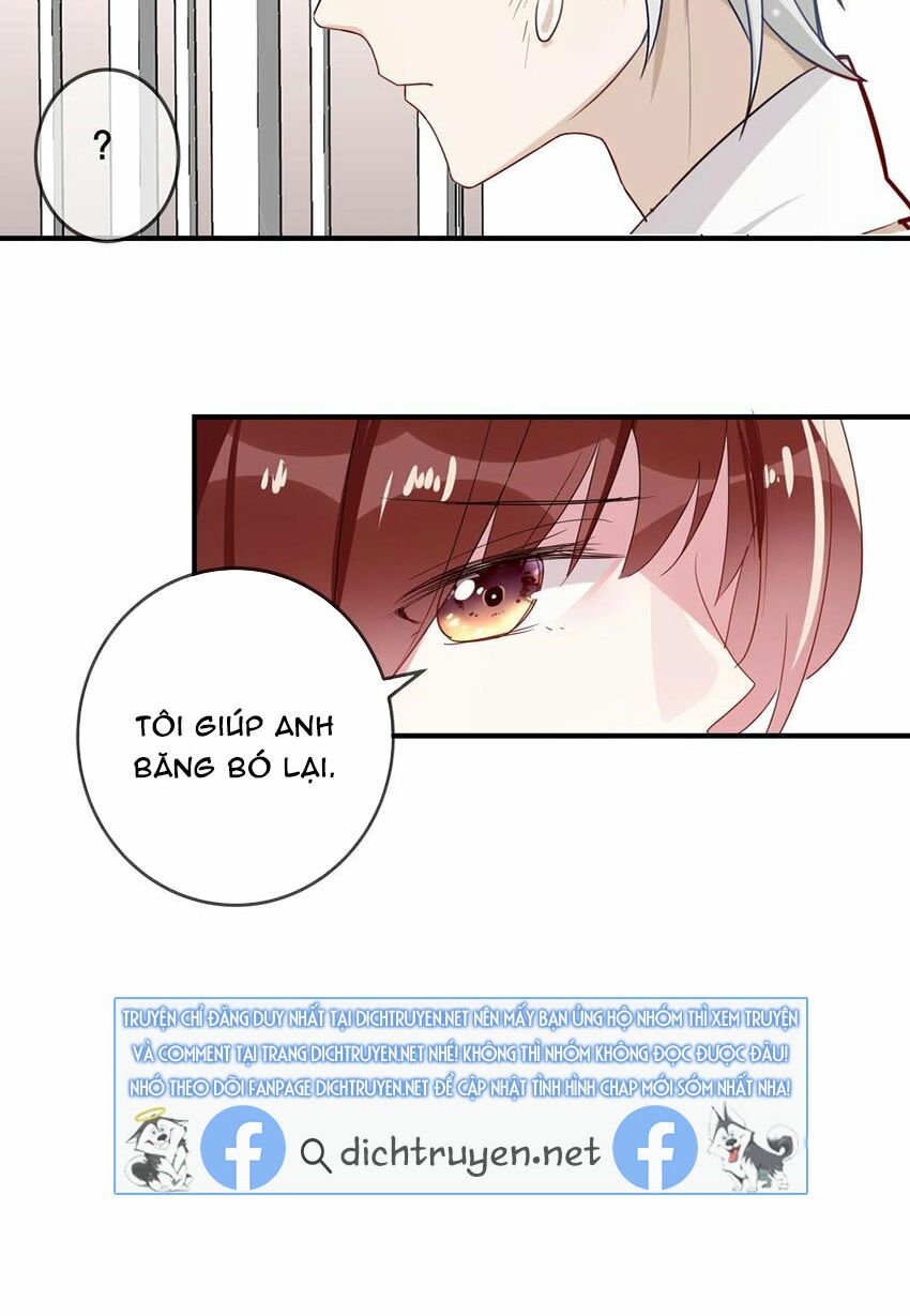 Em là bạc hà mèo của tôi: Chapter 49