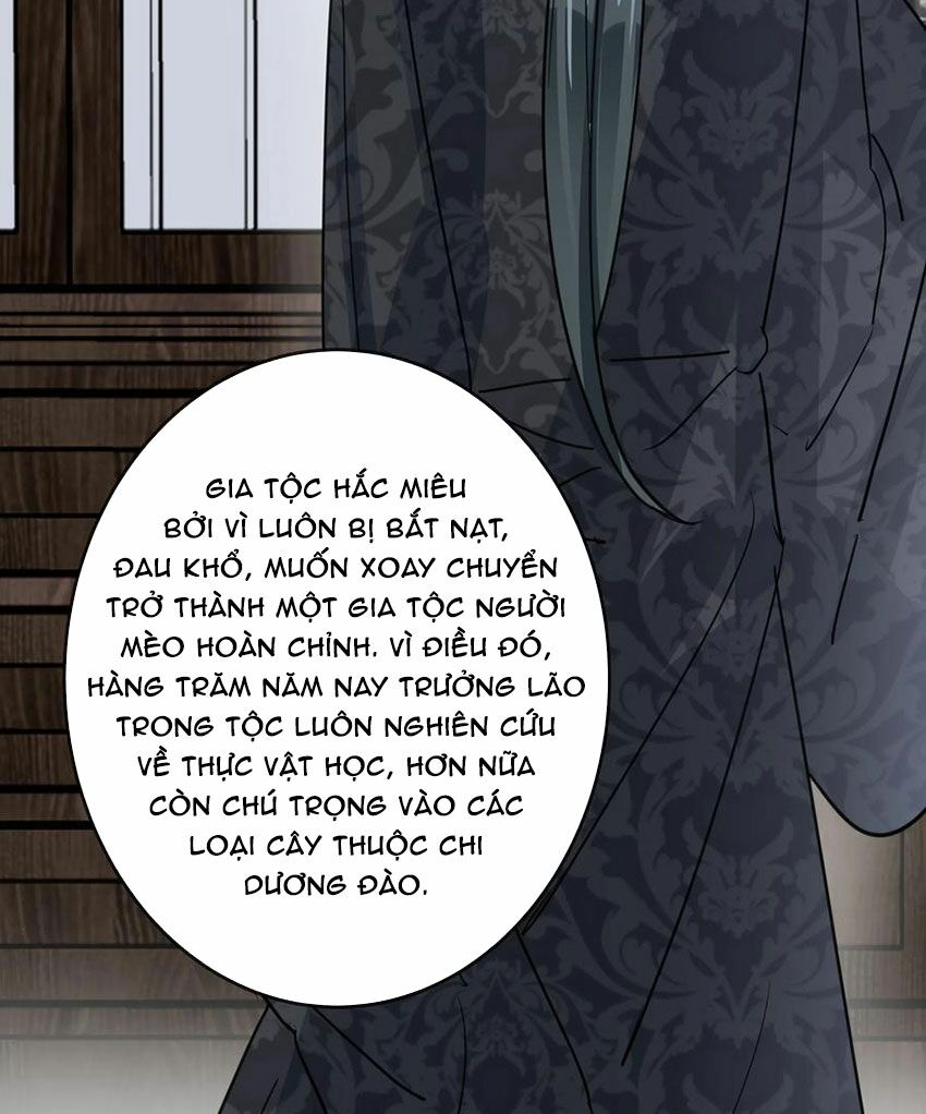 Em là bạc hà mèo của tôi: Chapter 49