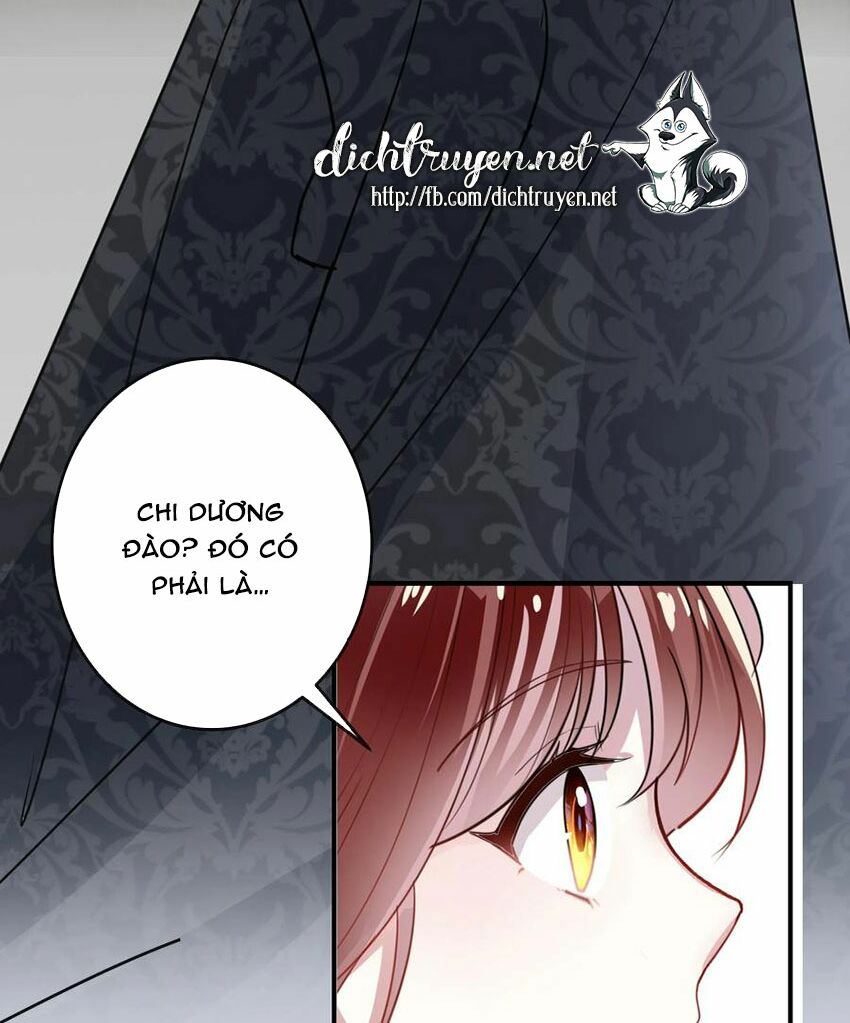 Em là bạc hà mèo của tôi: Chapter 49