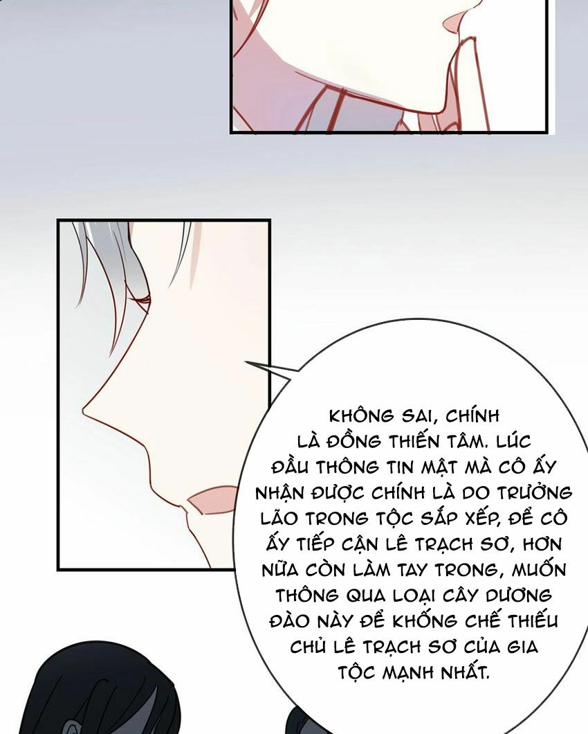 Em là bạc hà mèo của tôi: Chapter 49