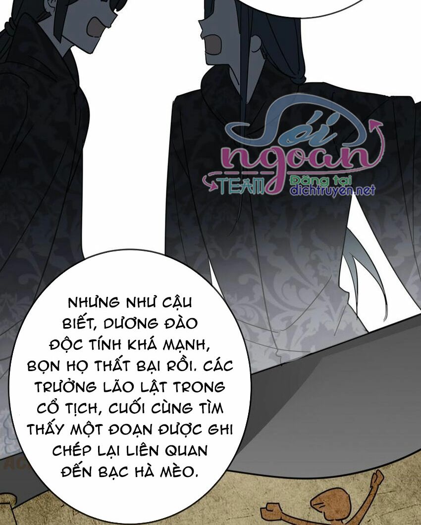 Em là bạc hà mèo của tôi: Chapter 49