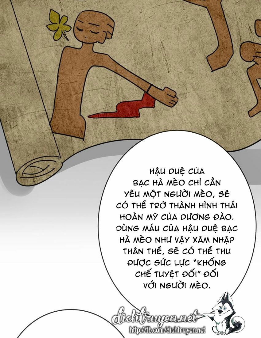 Em là bạc hà mèo của tôi: Chapter 49
